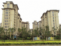 彈性復層型主材